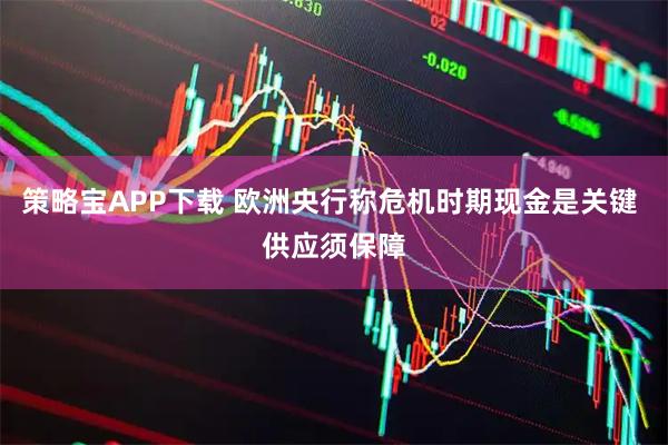 策略宝APP下载 欧洲央行称危机时期现金是关键 供应须保障