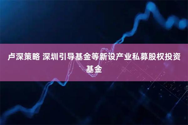 卢深策略 深圳引导基金等新设产业私募股权投资基金