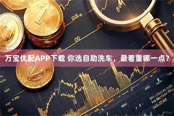 万宝优配APP下载 你选自助洗车，最看重哪一点？