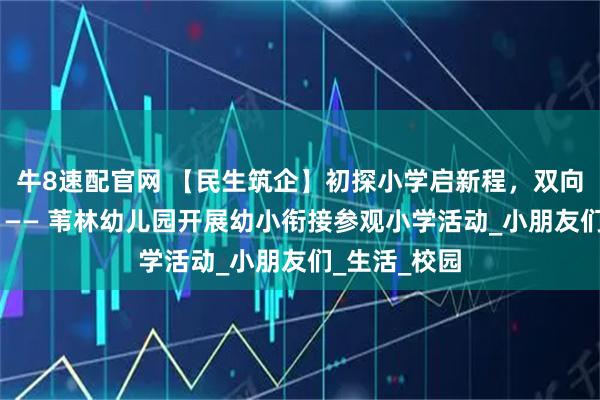 牛8速配官网 【民生筑企】初探小学启新程，双向衔接促成长 —— 苇林幼儿园开展幼小衔接参观小学活动_小朋友们_生活_校园