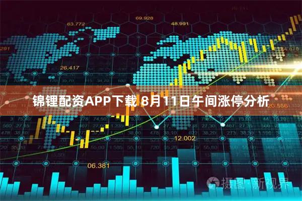 锦锂配资APP下载 8月11日午间涨停分析